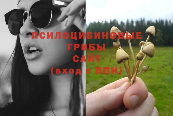 круглые Абаза