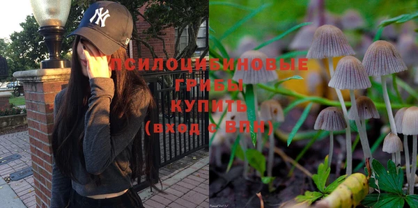 спайс Алексеевка